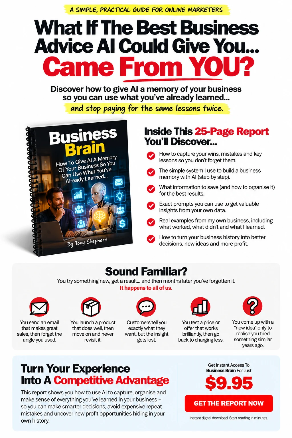 Business Brain: how to give AI a memory of your business, what you will learn in the 25-page report, and the $9.95 offer
